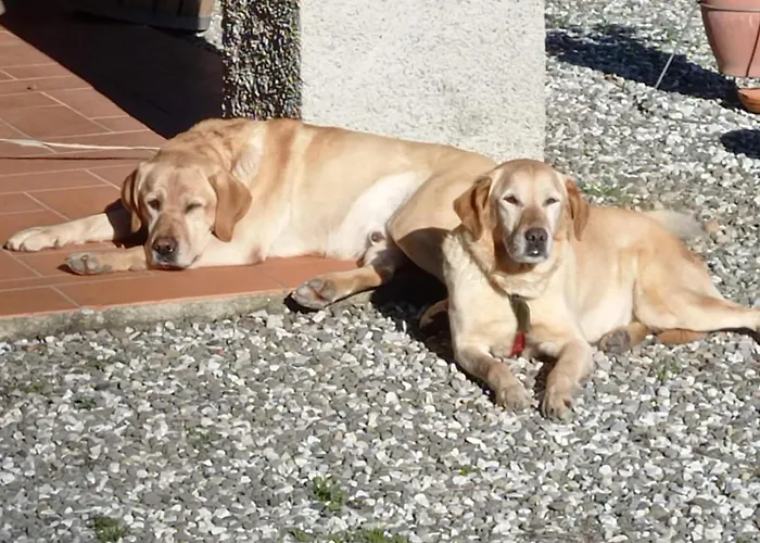 Tranquila, Сasa de vacaciones *